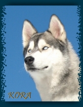 Kora