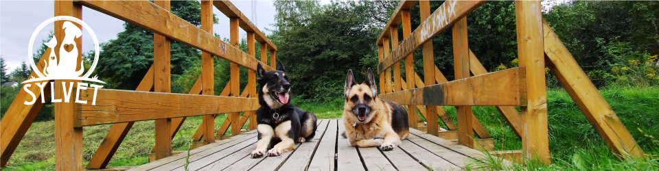 Gabinet Weterynaryjny