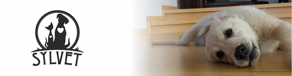 Gabinet Weterynaryjny