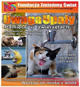 nie_gotuj
