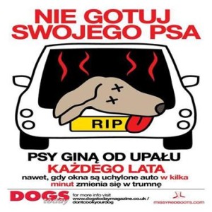 nie_gotuj_psa